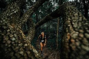 BIB: 
                            <button type="button" onclick="openModal(25672988)" class="btn btn-primary btn-sm float-right btn-popup" data-toggle="modal" data-target=".modal-high-quality">
                        <i class="fas fa-shopping-cart"></i> Add to Cart
                    </button>
                                            <button type="button" onclick="isThisMe(25672988, true)" class="btn btn-success btn-sm float-right btn-popup btn-isme hidden" data-toggle="tooltip" data-placement="bottom" title="นี่คือรูปของคุณใช่ไหม คลิกที่นี่เพื่อเอาเข้าอัลบั้ม">
                        <i class="fas fa-plus"></i> Add to album
                    </button>
                    <button type="button" onclick="isThisMe(25672988, false)" class="btn btn-warning btn-sm float-right btn-popup btn-isnotme hidden">
                        <i class="fas fa-ban"></i> Remove from album
                    </button>